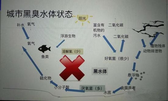 江蘇億元投資治污新技術(shù) 石墨烯能否治理黑臭水體？