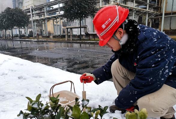 大唐環(huán)境特許經(jīng)營分公司積極應對低溫雨雪冰凍災害