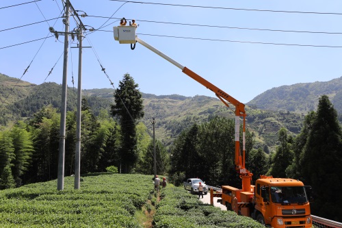 國網壽寧縣供電公司：高溫帶電作業(yè) 保障居民用電