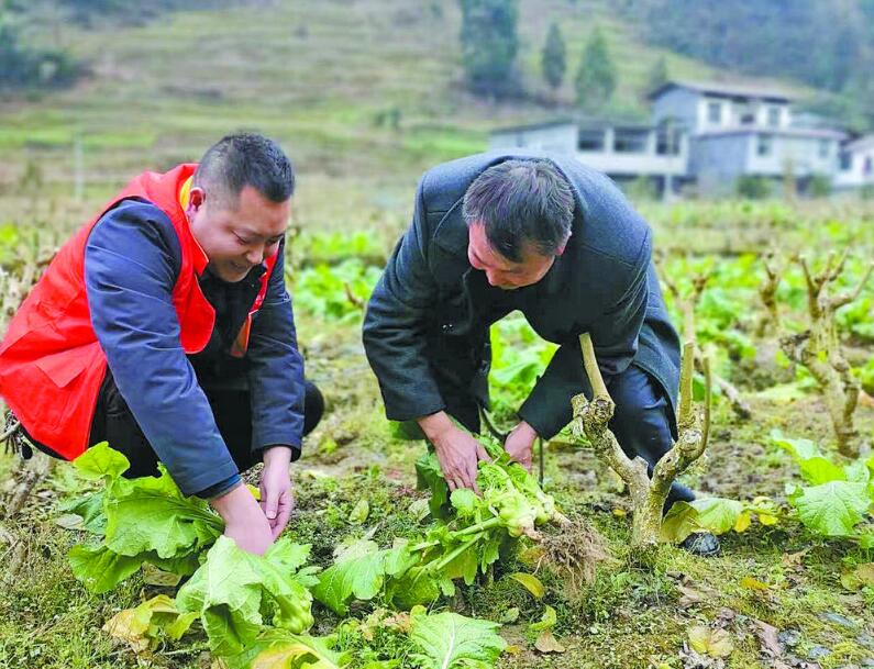 駐村第一書記馬攀：扎扎實(shí)實(shí)為村民辦實(shí)事解難題