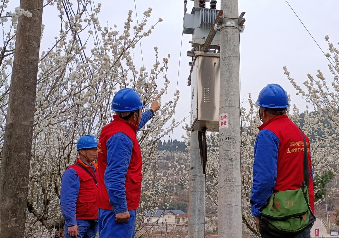 國網南充高坪供電公司：電力護航 不負春光