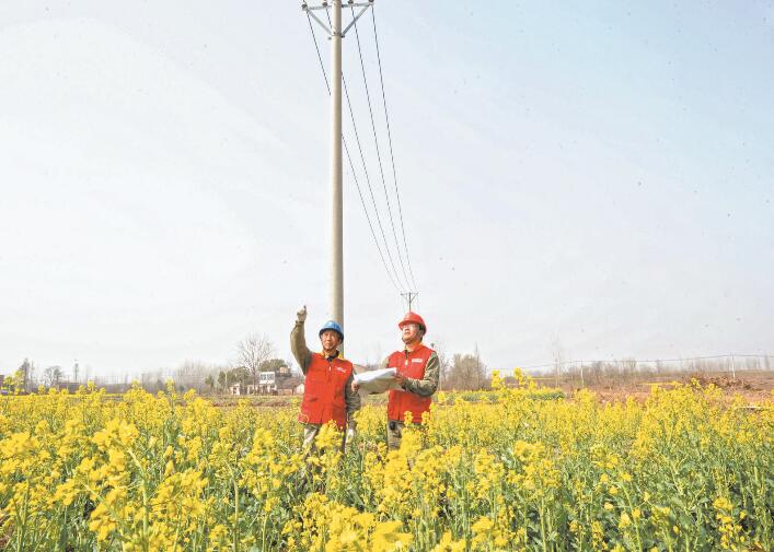 國網安陸市供電公司攻堅整線檢修 提升供電質量