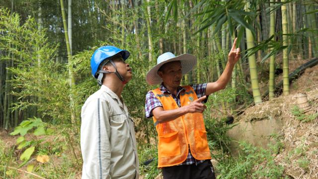 重慶通過“五定”工作機(jī)制保障電力線路安全運(yùn)行