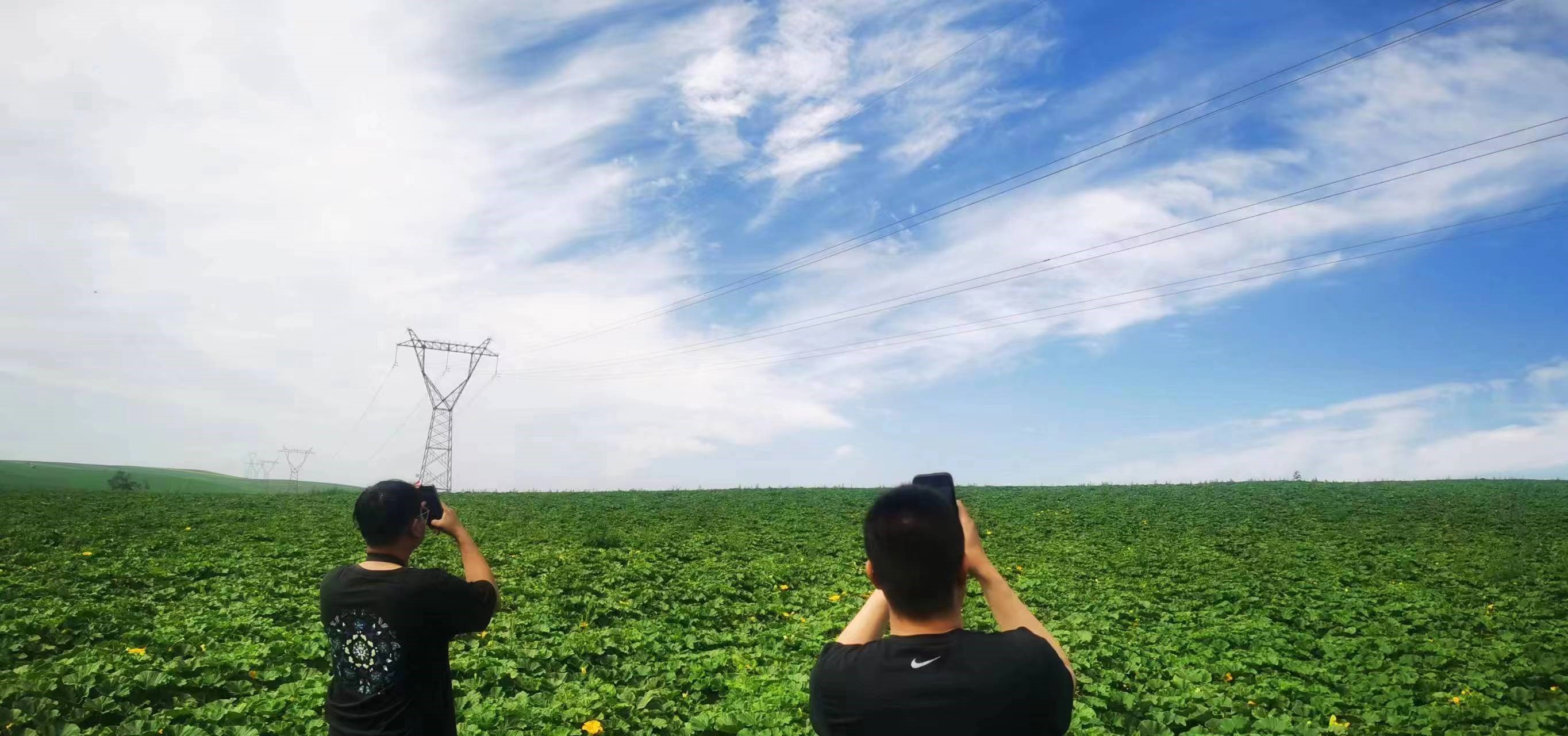 四子王輸變電管理處：防外力破壞，助安全運行