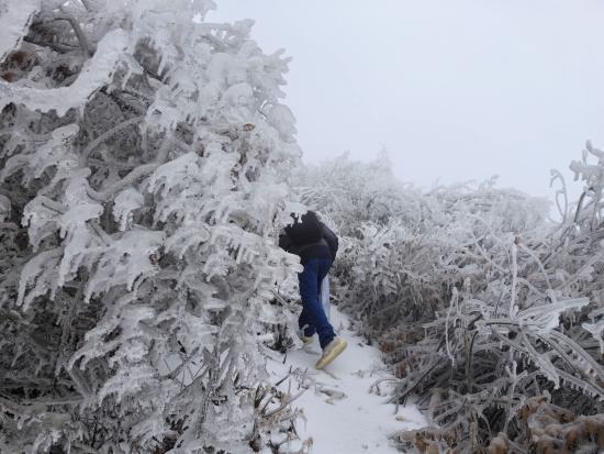 【新春走基層】迎雪而上攻堅行，奮戰(zhàn)不息護光明