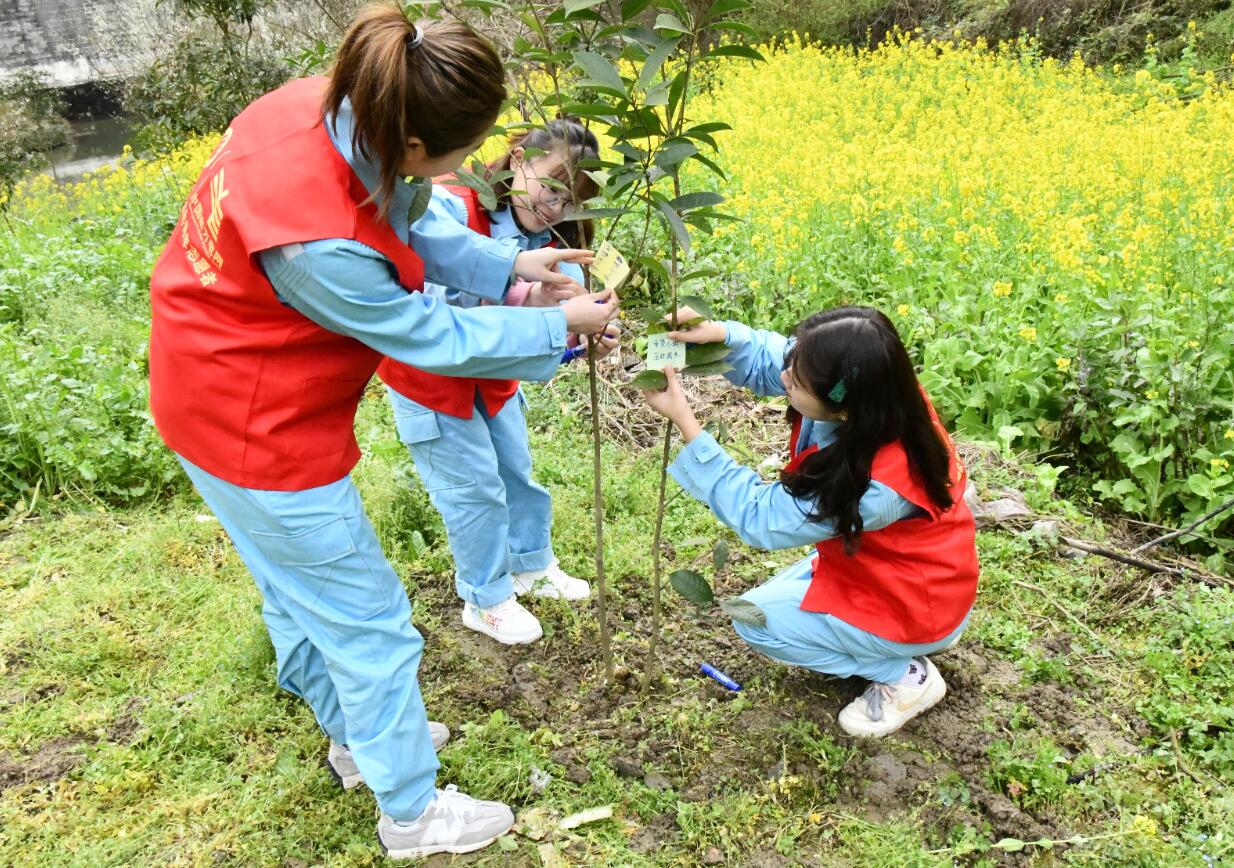 貴州德江供電局植樹添綠上春山