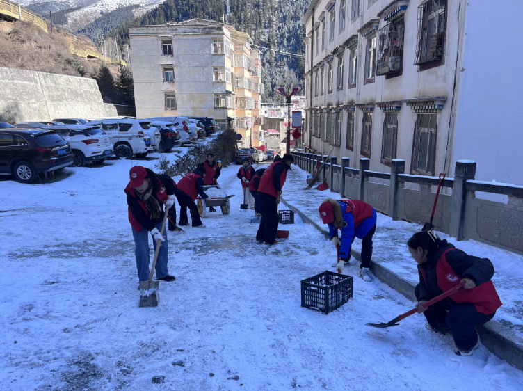 挺膺擔當志愿服務，清冰除雪保障安全